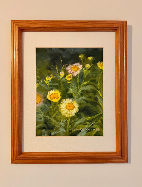 Daisies
