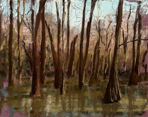 Cypress Swamp