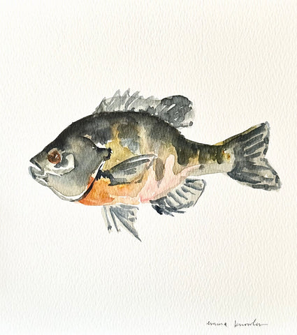Watercolor Brim