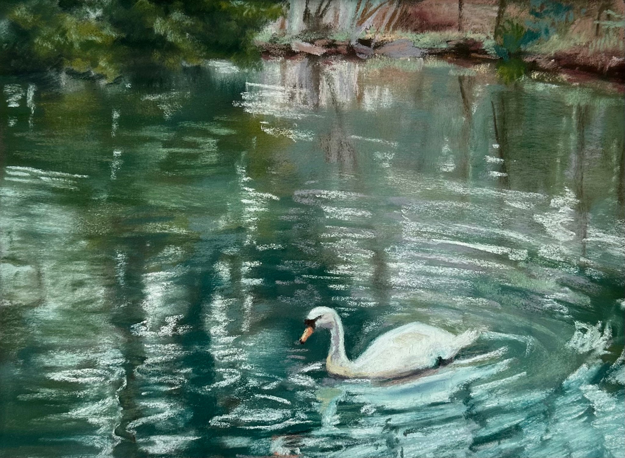 Swan Pond