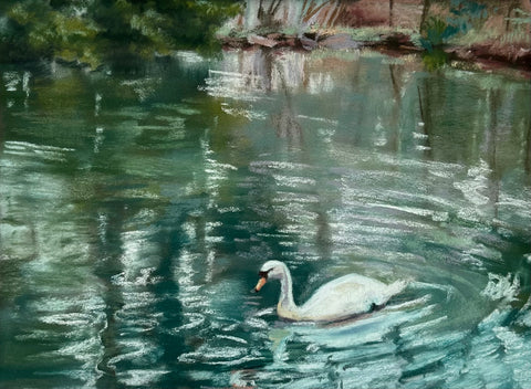 Swan Pond