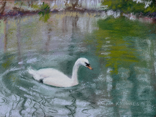 Swan