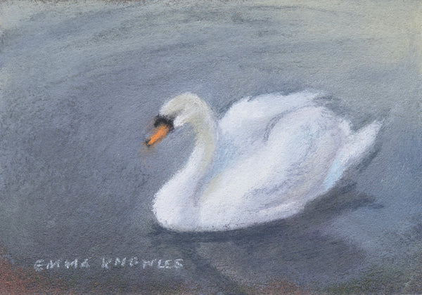 Swan