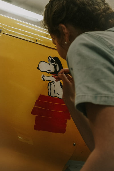 Plane Painting!