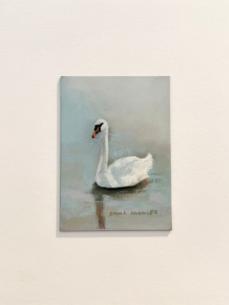Swan