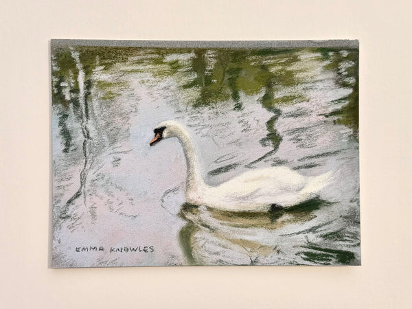 Swan