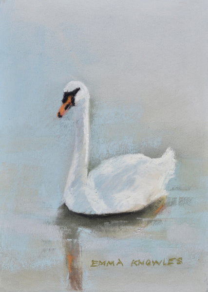 Swan