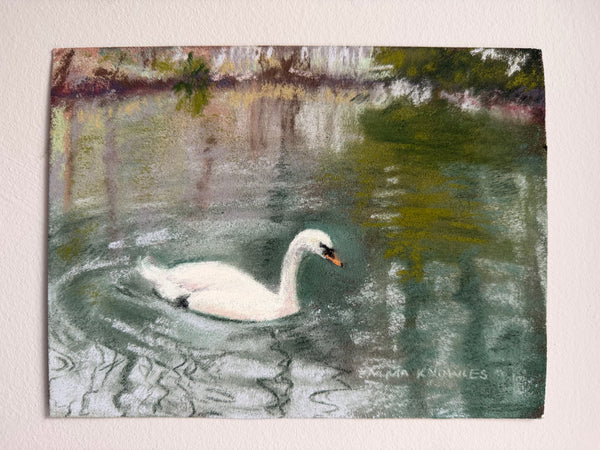 Swan