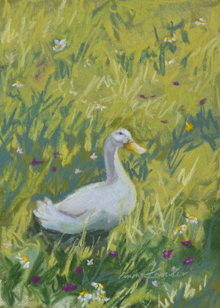 Duck