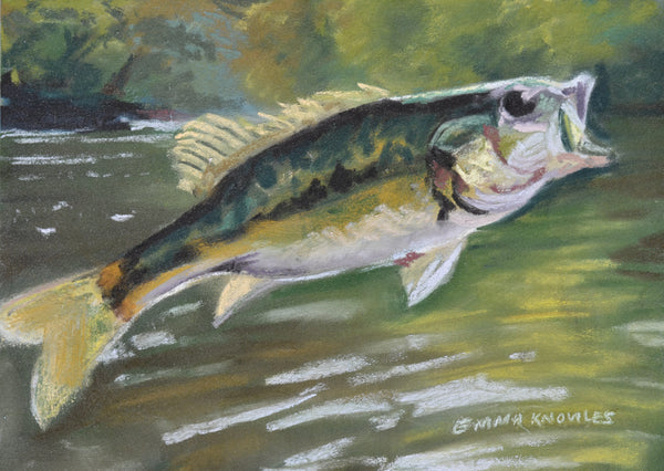 Bass