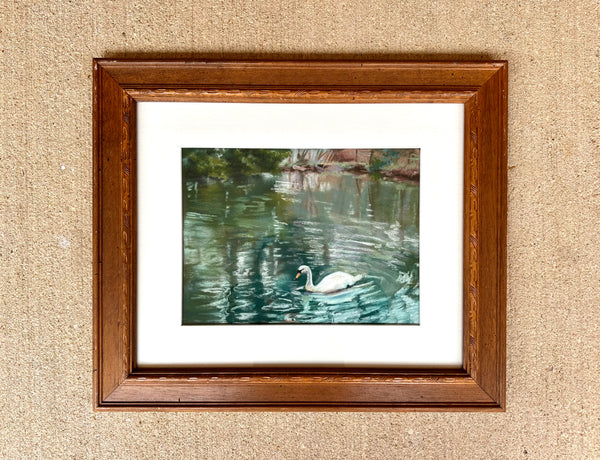 Swan Pond