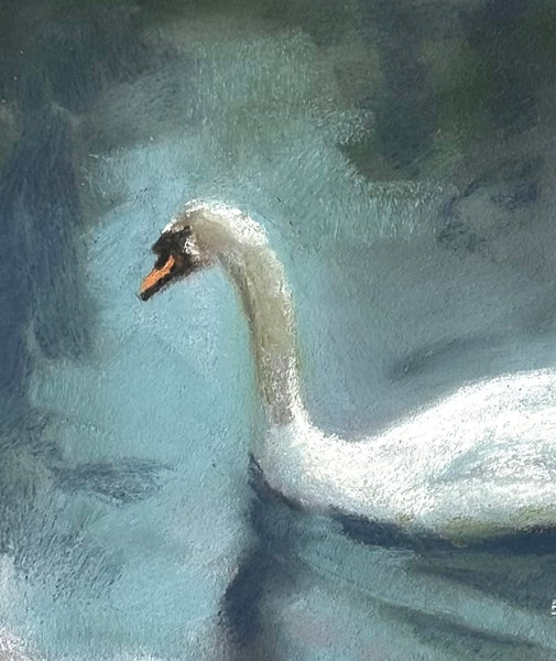 The Swan