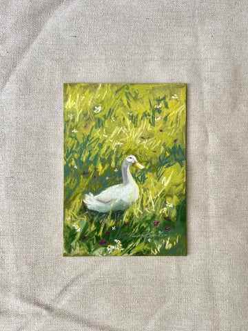 Duck