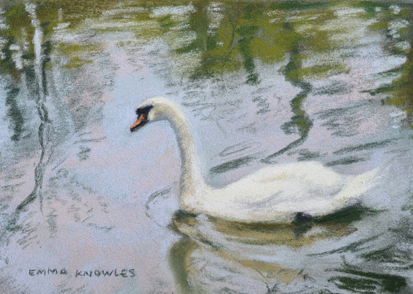 Swan