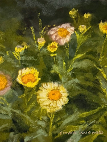 Daisies